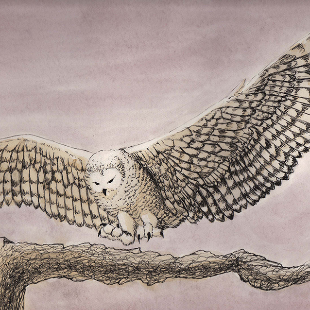 Coffee In Heat cover art