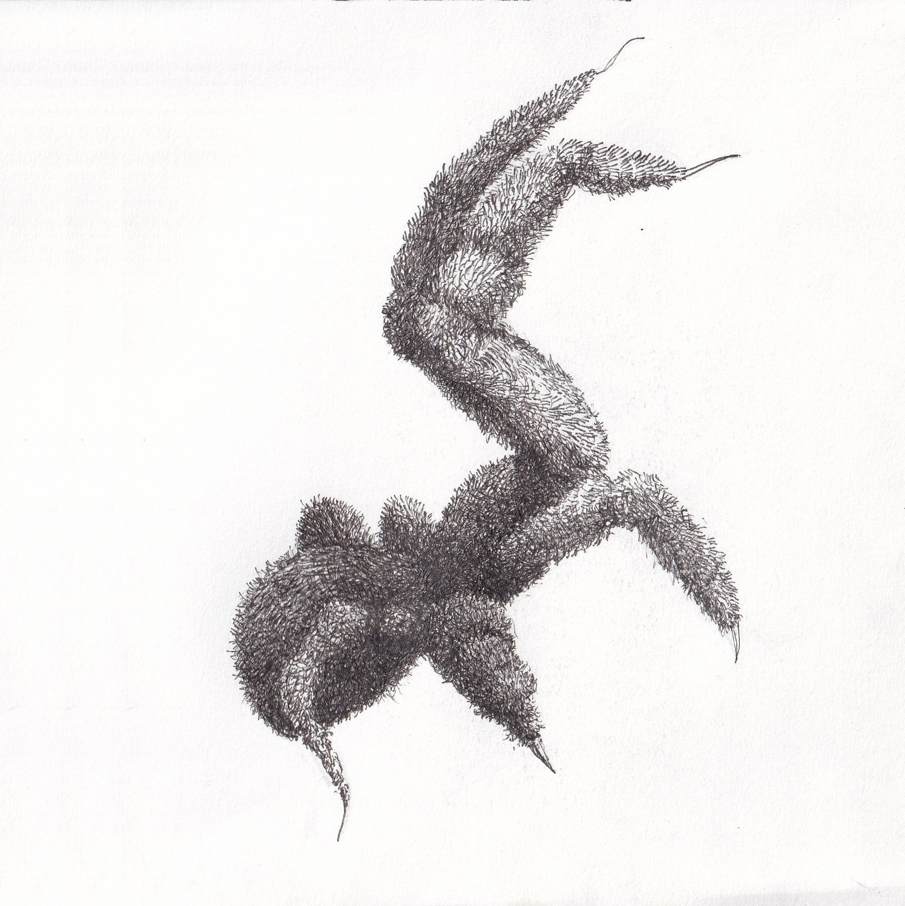 Die Like A Spider cover art