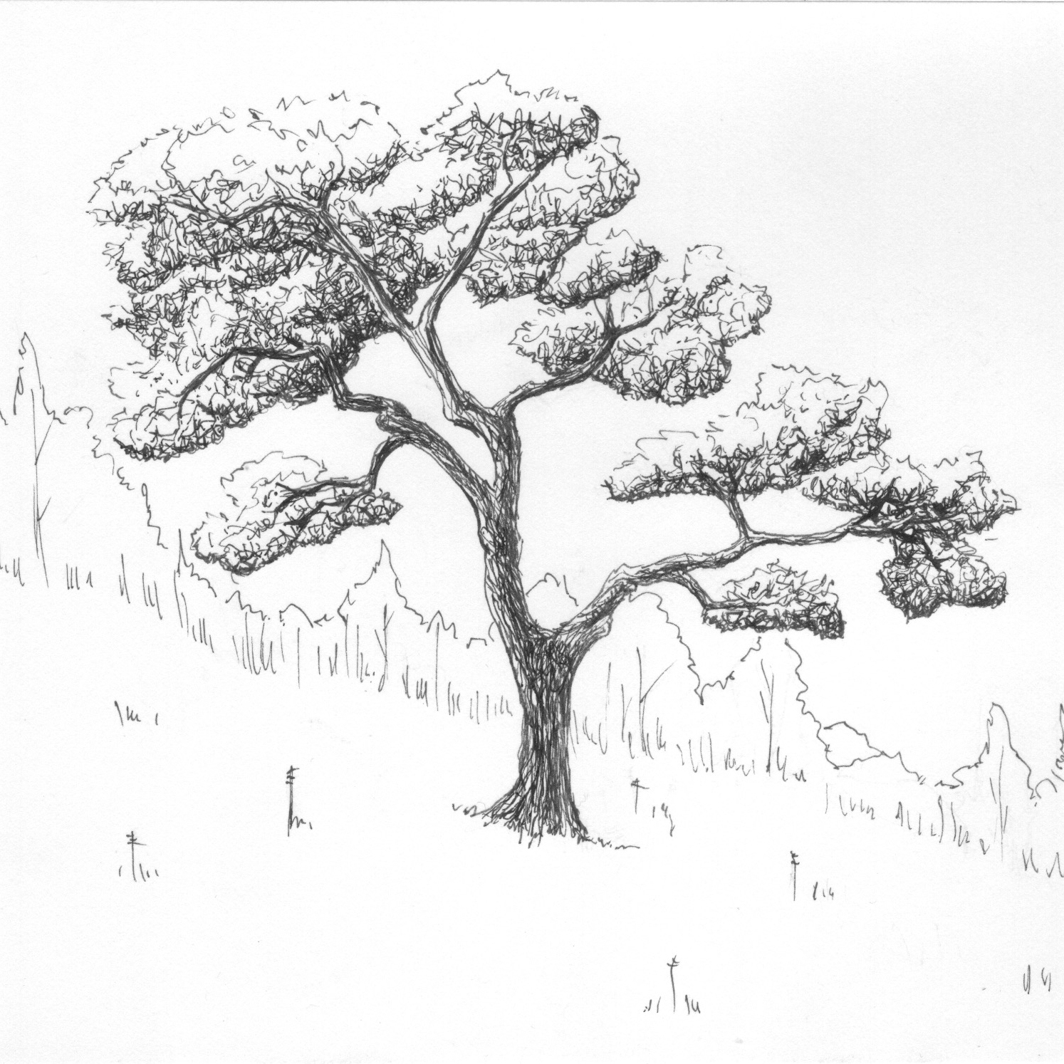 Our Twisted Bed cover art