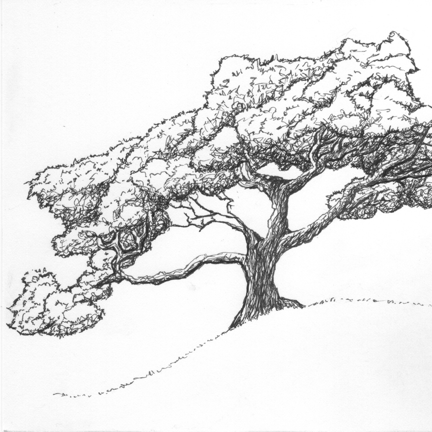 Underground cover art